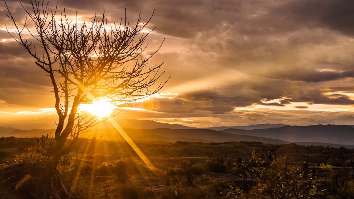 Nascer do sol no deserto