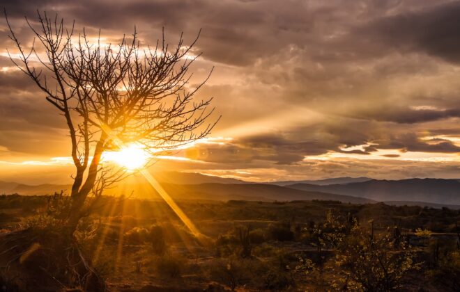 Nascer do sol no deserto